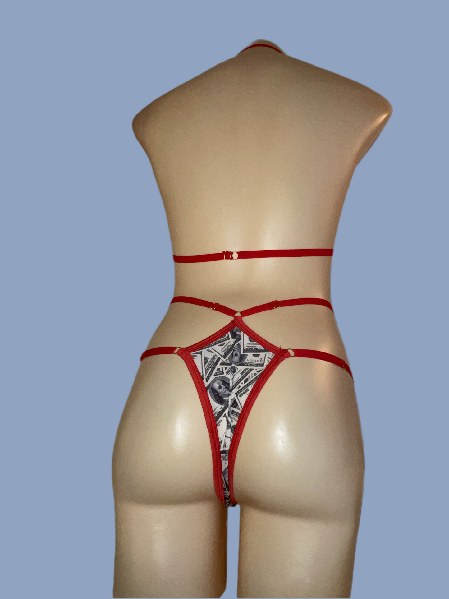 Adjustable money print bikini